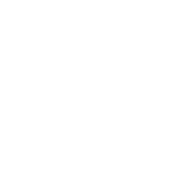 Wise - Accepted payment method